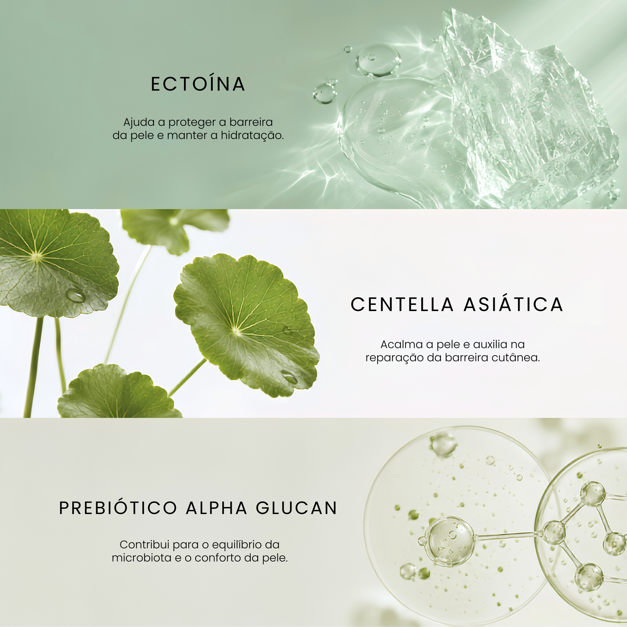 Ectoina, centella asiática, prebiótico alpha glucan
